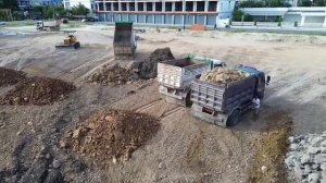 Осушение болота с помощью бульдозера, грузовиков, экскаватора.