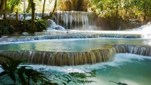 tei- ya - мир вокруг