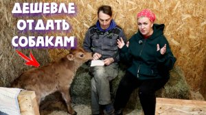 ШОК!😡ПОСЧИТАЛИ «ПРИБЫЛЬ» ОТ ХОЗЯЙСТВА.