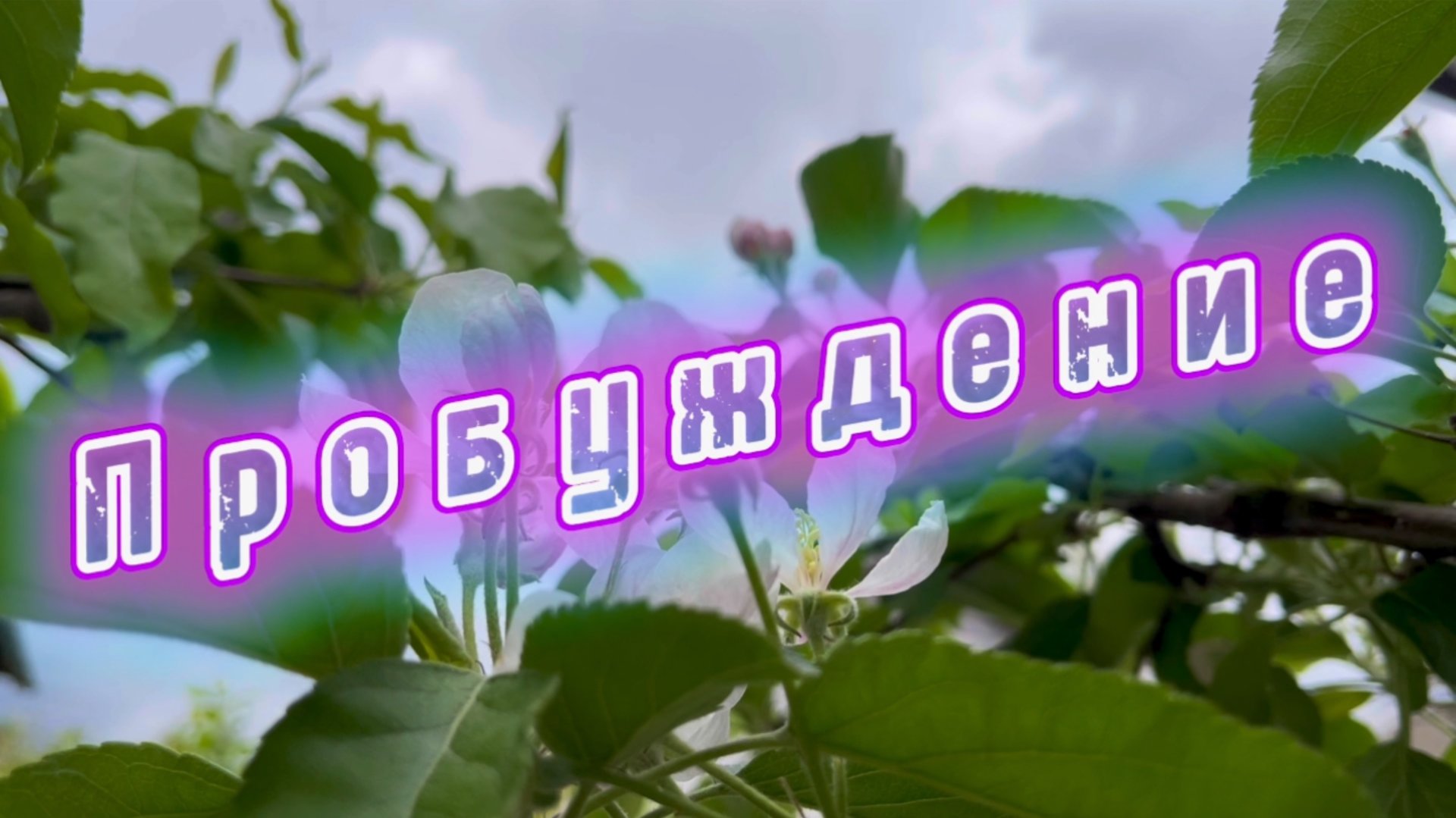 Пробуждение, Сергей Аверьянов, красивая инструментальная музыка смотреть онлайн