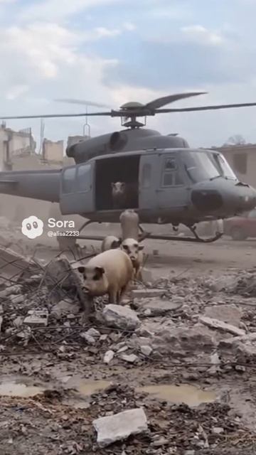 та самая высадка в Покровск смотреть онлайн