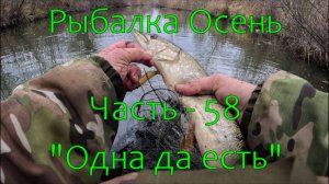 Рыбалка Осень. Часть - 58. "Одна да есть".