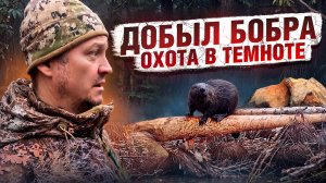 ДОБЫЛ ПЕРВОГО БОБРА // СЪЕМКА НА ТЕПЛОВИЗОР // БОБРИНОЕ ЦАРСТВО