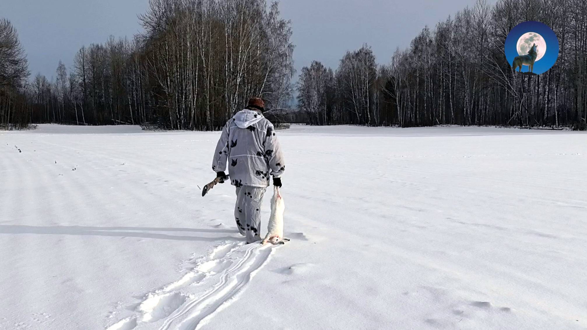 ОХОТА НА ЗАЙЦА ЗИМОЙ. И ТАКОЕ БЫВАЕТ! 🤷 смотреть онлайн