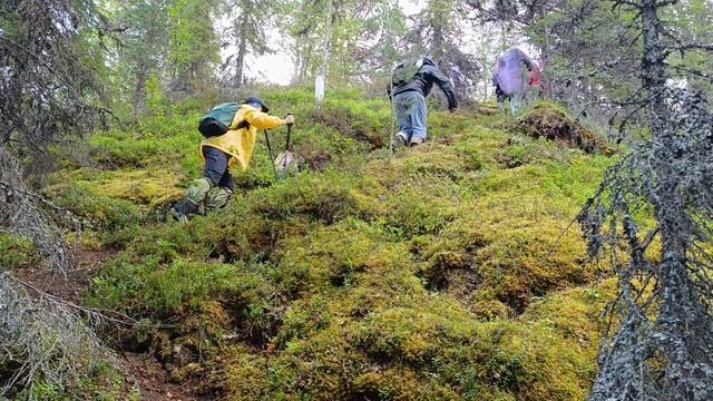 Хибины, озера Гольцовое и Щучье. И море ягод! смотреть онлайн