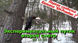 Экспериментальный путик второй смотр 02 11 25