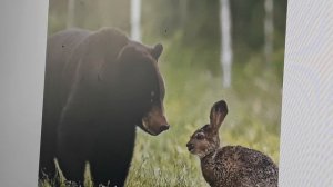 ЗАЮШКИНА ИЗБУШКА