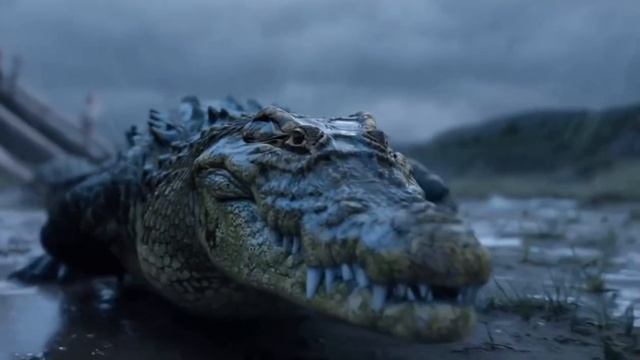 История Пророка Нуха мир ему, основана на аятах Священного Корана Сура 71 - Nuh . смотреть онлайн