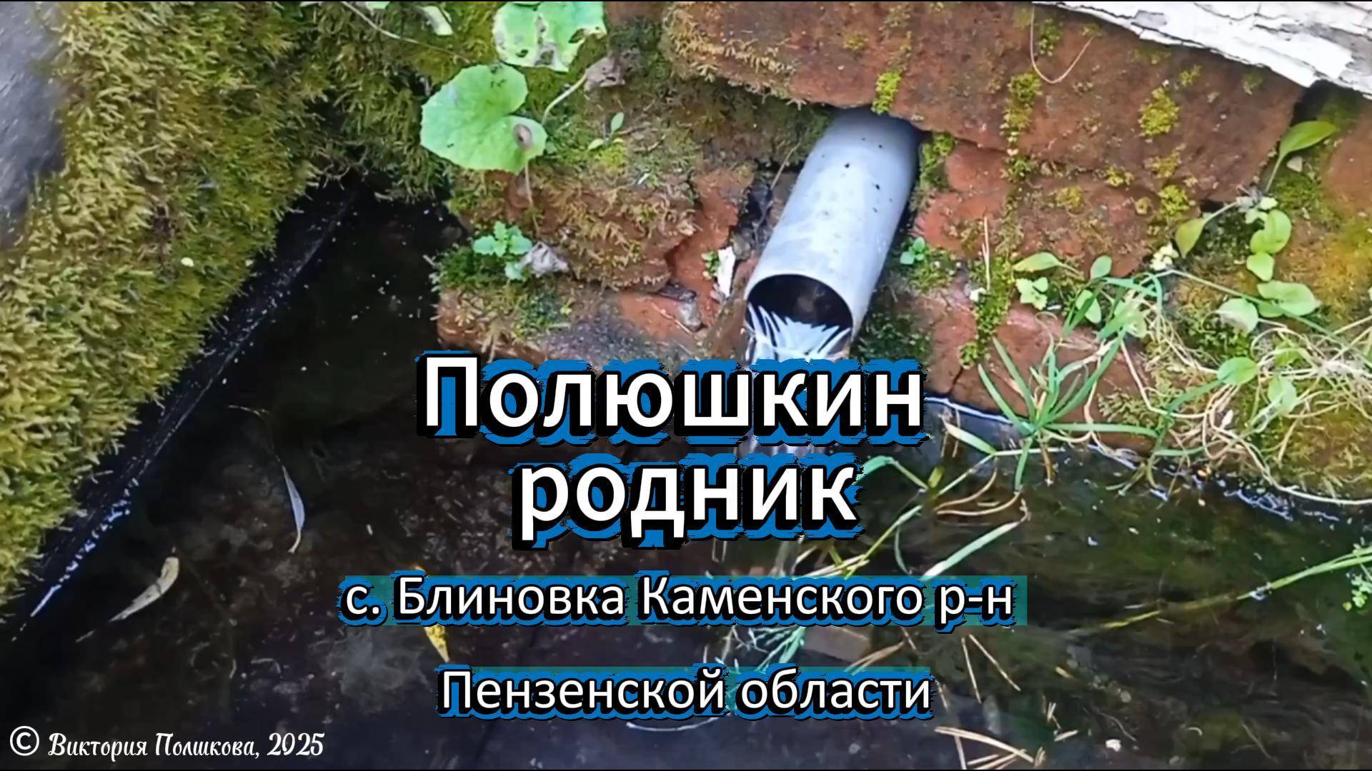 Полюшкин родник. Наше путешествие по святым местам смотреть онлайн