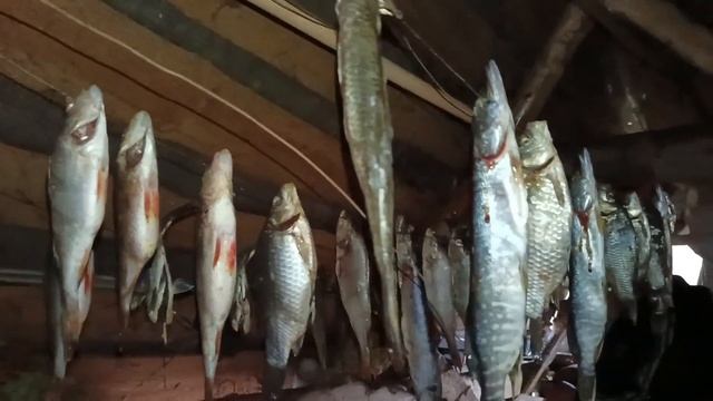 ЛЮБЛЮ ЖИЗНЬ С ЗАПАСОМ, КУПИЛИ МЯСО И ПОДСОЛНЕЧНОЕ МАСЛО, КАНАЛ ПРО ЖИЗНЬ смотреть онлайн