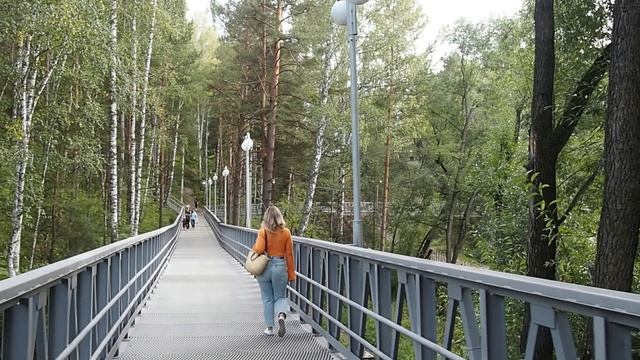 Мостик в Академгородке (Новосибирск) возле Ботанического сада. смотреть онлайн