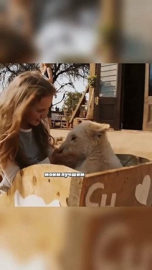 настоящая дружба