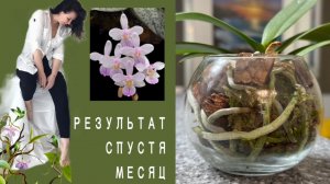 СЕКРЕТЫ✨ из-за ЧЕГО подростки обросли корнями!