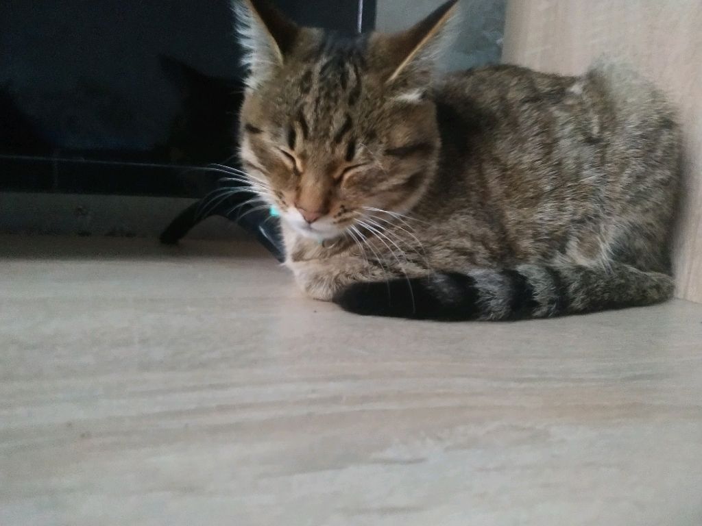 р смотреть онлайн