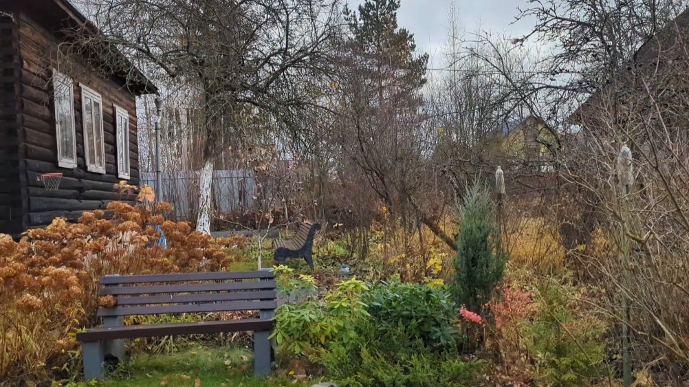 04-11-2025.Дача..Приехали поработать))Листьев прилетело от соседей....(02.11.-04.11.25.) смотреть онлайн
