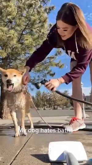 Когда сказали что пора мыться