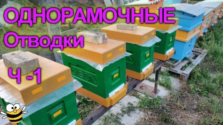 Отводки в 6-ти рамочные улья ППС. Ч-1 смотреть онлайн