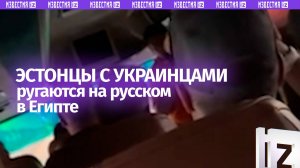 Языковой винегрет в египетском автобусе: эстонцы обрушились на гида-украинца с нападками