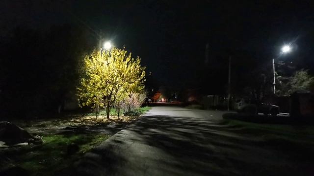 Сальск ночью, улица Юннатов