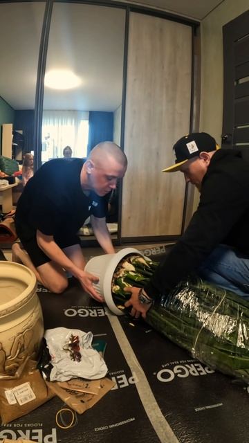 Пересаживаем цветок Кракен