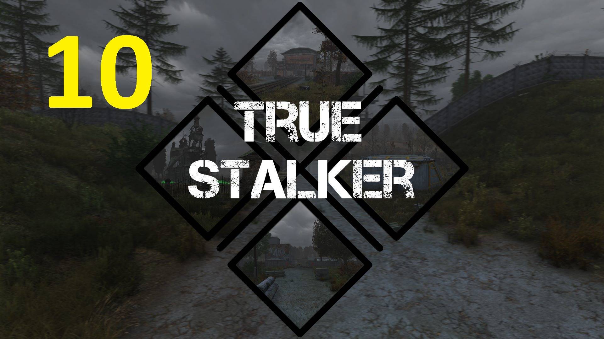 Прохождение S.T.A.L.K.E.R True Stalker. Часть 10 смотреть онлайн