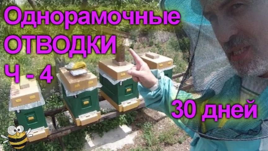 Отводки в 6-ти рамочные улья ППС. Ч-4 смотреть онлайн