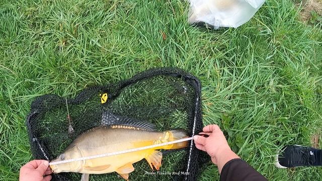 Karp Fishing Рыбалка