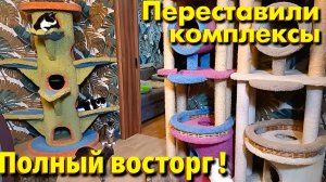 Переставили комплексы. Полный восторг!