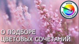 Учимся подбирать самые выигрышные сочетания цветов