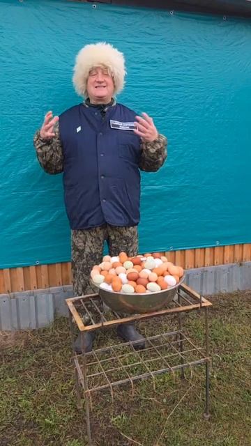 ПЕТУШИНОЕ ЯЙЦО!!! смотреть онлайн