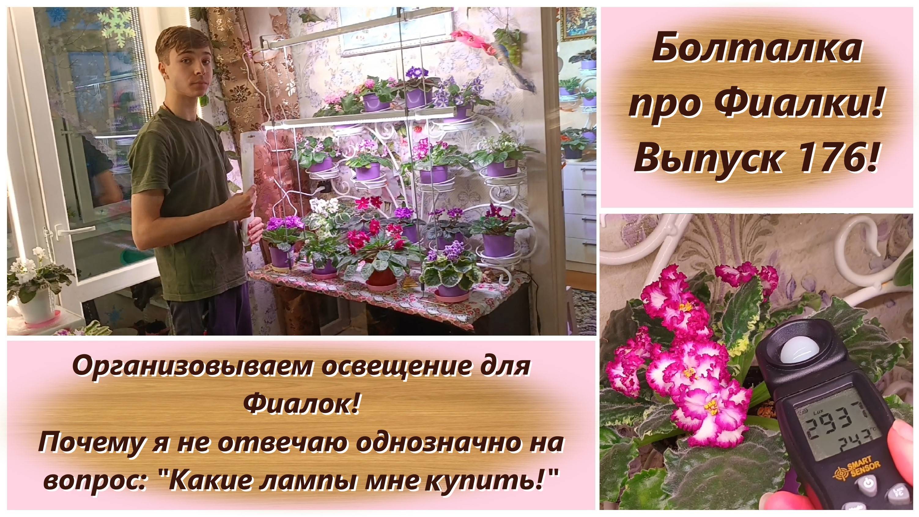 Болталка про Фиалки! Выпуск 176! Организовываем освещение для Фиалок!