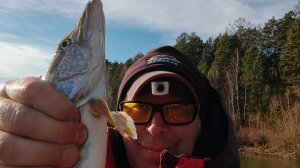 Продолжение рыбалки 1 ноября 2025 год