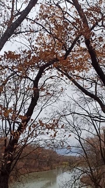 Ставок Звезда г. Суходольск. Состояние на 1 ноября 2025 г. смотреть онлайн