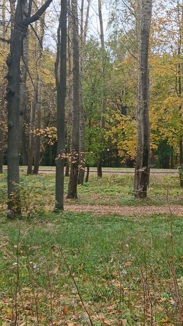 золотая осень...