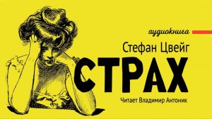 «Страх». Стефан Цвейг.  Читает Владимир Антоник. Аудиокнига.