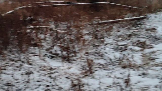 Станция Сейда.(Коми АССР).Гаражи...