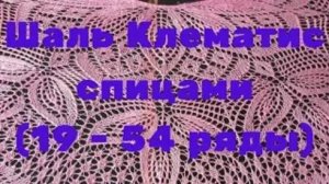 Шаль Клематис спицами 19 по 54 ряды