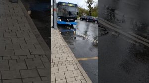 Автобусы, маршрутки г.Звенигород,Голицыно, Кубинка за осень