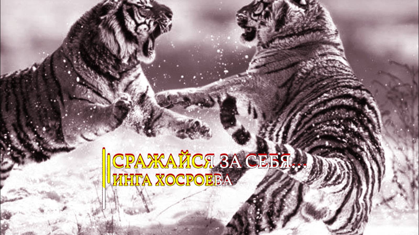 СРАЖАЙСЯ ЗА СЕБЯ...ИНГА ХОСРОЕВА смотреть онлайн