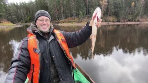 Осенняя рыбалка в Весьегонске 👍👍👍👍