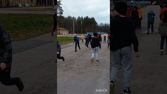 2.11.2025 Предзимье в лесу, тренировка предлыжная смотреть онлайн