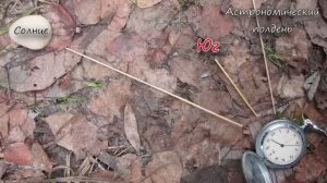 Ориентирование без карты и компаса. Книга Выживания 2.