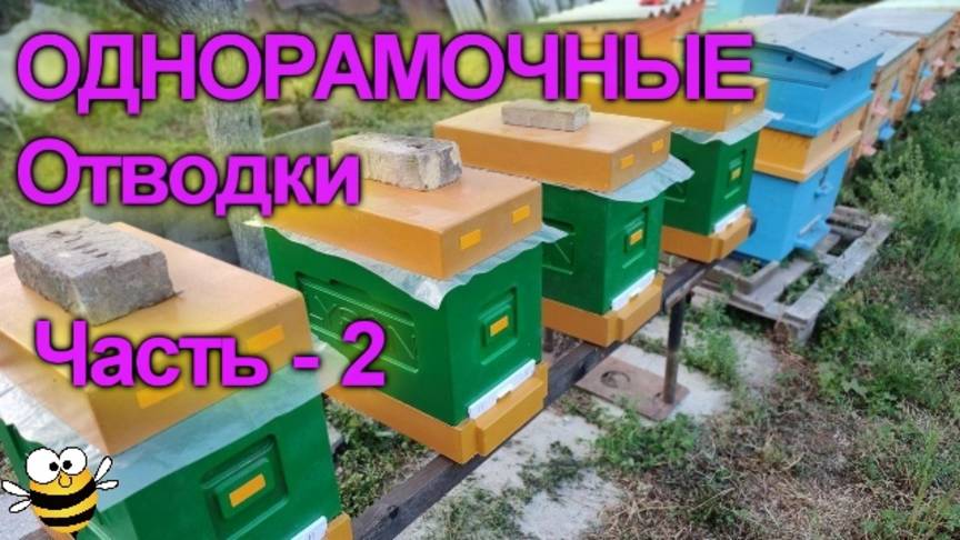 Отводки в 6-ти рамочные улья ППС. Ч-2 смотреть онлайн