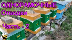 Отводки в 6-ти рамочные улья ППС. Ч-2
