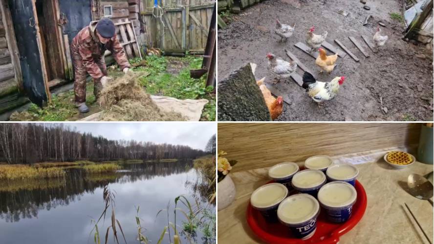 ПОЧИСТИЛИ НЕМНОГО У КУРОЧЕК И ЧЕМ ЗАНИМАЛИСЬ В ВОСКРЕСЕНЬЕ. смотреть онлайн