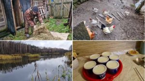 ПОЧИСТИЛИ НЕМНОГО У КУРОЧЕК И ЧЕМ ЗАНИМАЛИСЬ В ВОСКРЕСЕНЬЕ.