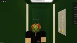 Roblox Лифты щлз 2007 г.в 400 кг.