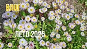 Закрытие дачного сезона 2025