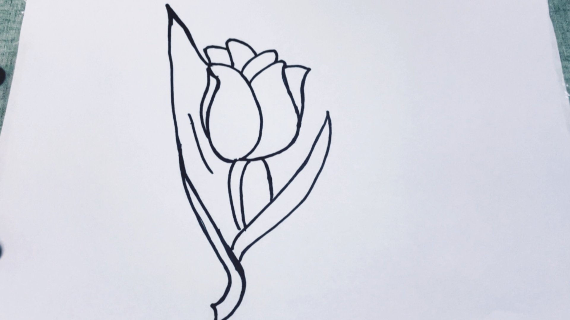 Тюльпан. Рисуем Вместе. смотреть онлайн