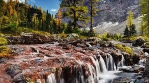 Интересная истории из жизни_Аудио рассказы_